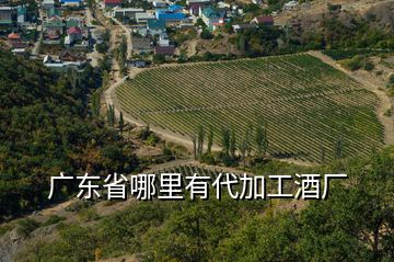 广东省哪里有代加工酒厂