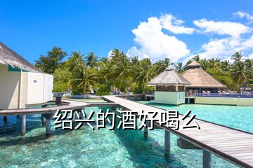 绍兴的酒好喝么