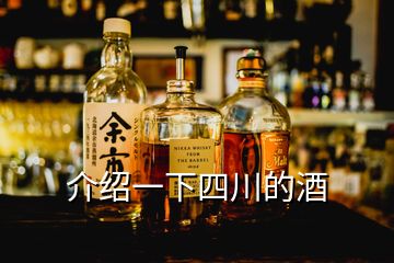 介绍一下四川的酒