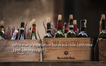 lafite maria appellation bordeaux rose controlee 1999 bordeaux是什么
