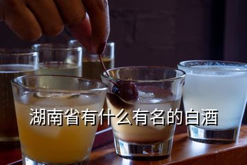 湖南省有什么有名的白酒