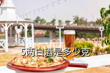 5两白酒是多少克