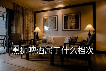 黑狮啤酒属于什么档次