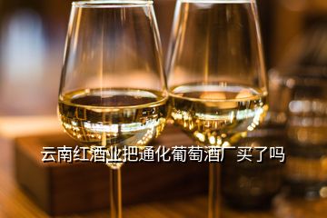 云南红酒业把通化葡萄酒厂买了吗
