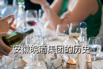 安徽皖酒集团的历史