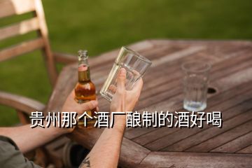 贵州那个酒厂酿制的酒好喝