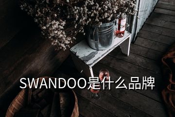 SWANDOO是什么品牌