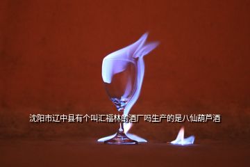 沈阳市辽中县有个叫汇福林的酒厂吗生产的是八仙葫芦酒