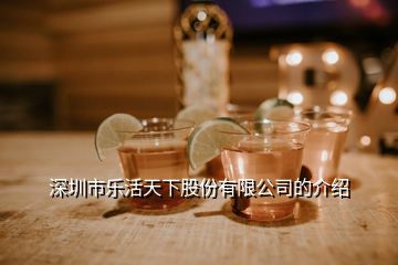深圳市乐活天下股份有限公司的介绍