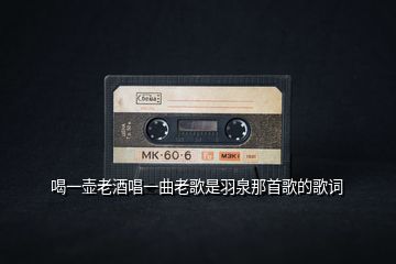 喝一壶老酒唱一曲老歌是羽泉那首歌的歌词