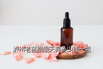 泸州老窖原酿天典多少钱一瓶