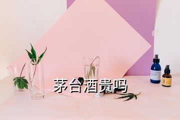 茅台酒贵吗