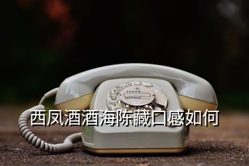 西凤酒酒海陈藏口感如何
