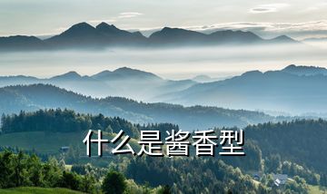 什么是酱香型