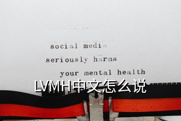 LVMH中文怎么说