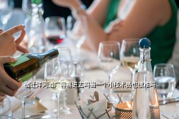 宿迁洋河酒厂容易进去吗当一个小技术员也很难吗