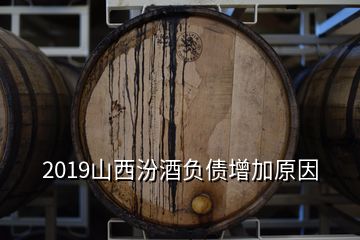 2019山西汾酒负债增加原因