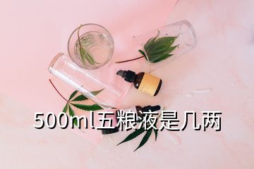500ml五粮液是几两