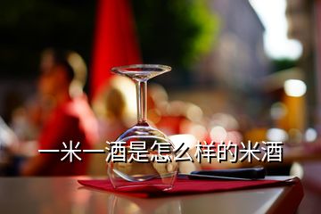一米一酒是怎么样的米酒