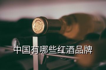 中国有哪些红酒品牌