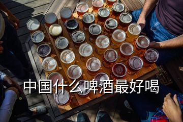 中国什么啤酒最好喝