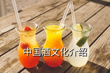 中国酒文化介绍
