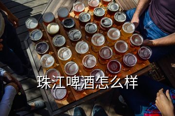 珠江啤酒怎么样
