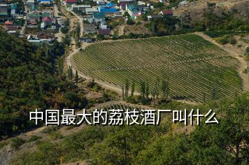 中国最大的荔枝酒厂叫什么