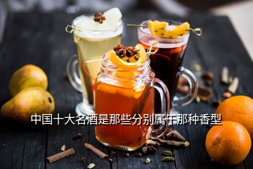 中国十大名酒是那些分别属于那种香型