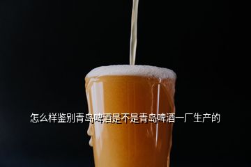怎么样鉴别青岛啤酒是不是青岛啤酒一厂生产的