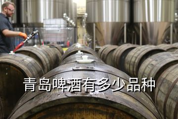 青岛啤酒有多少品种
