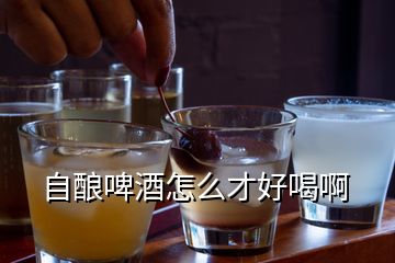 自酿啤酒怎么才好喝啊