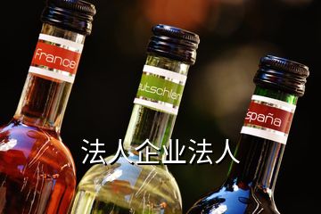法人企业法人