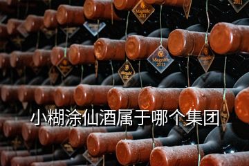 小糊涂仙酒属于哪个集团