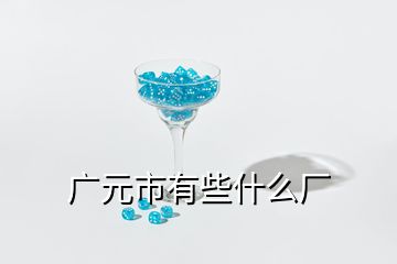 广元市有些什么厂