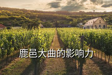 鹿邑大曲的影响力