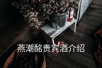燕潮酩贵宾酒介绍