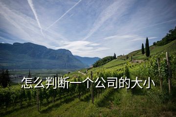 怎么判断一个公司的大小