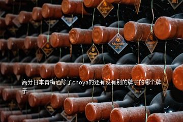 高分日本青梅酒除了choya的还有没有别的牌子的哪个牌子