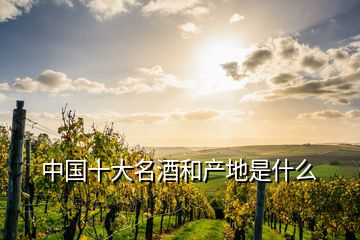 中国十大名酒和产地是什么
