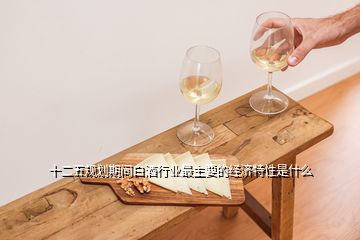十二五规划期间白酒行业最主要的经济特性是什么