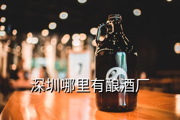 深圳哪里有酿酒厂