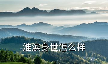 淮滨身世怎么样