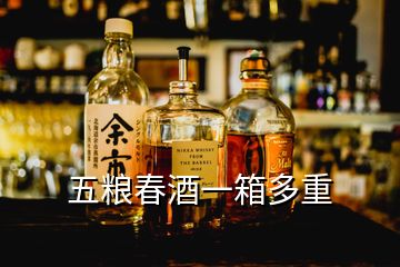 五粮春酒一箱多重