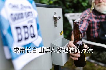 求用长白山鲜人参泡酒的方法