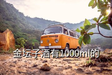 金坛子酒有1000ml的