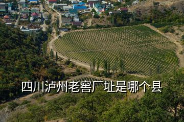 四川泸州老窖厂址是哪个县