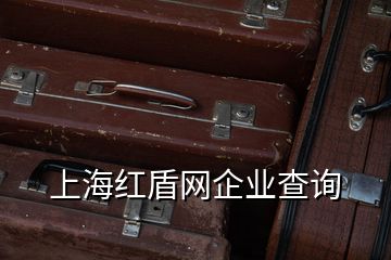 上海红盾网企业查询