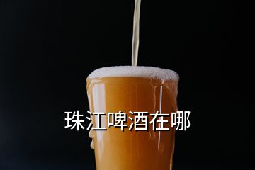 珠江啤酒在哪