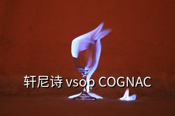 轩尼诗 vsop COGNAC